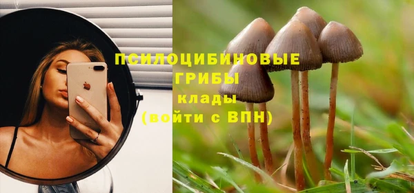 метамфетамин Елизово