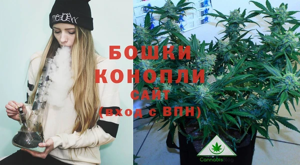 мет Елабуга