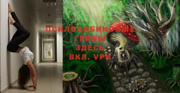 метамфетамин Елизово