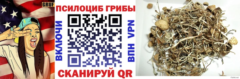 Галлюциногенные грибы ЛСД  Купить  Краснознаменск 